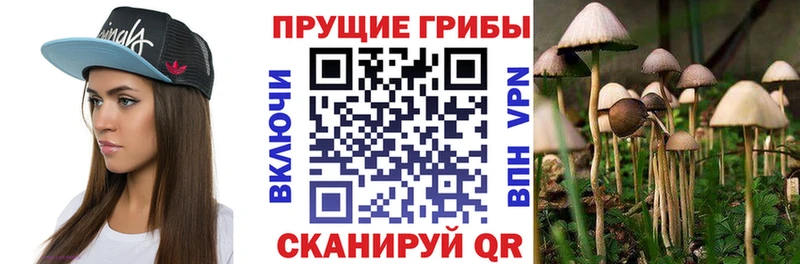 Галлюциногенные грибы MAGIC MUSHROOMS  дарнет шоп  Вытегра 
